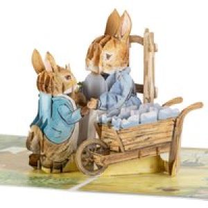 Peter Rabbit New Baby Boy