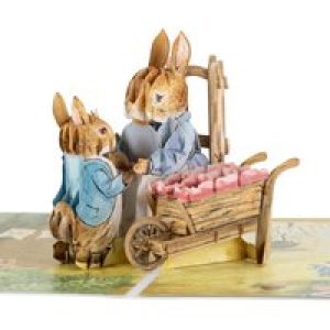 Peter Rabbit New Baby Girl