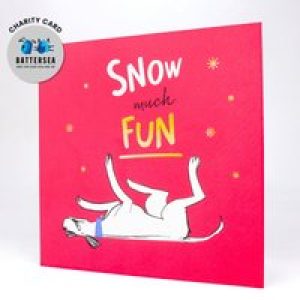 Snow Much Fun Card