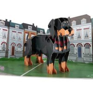 Dachshund Pop Up Card