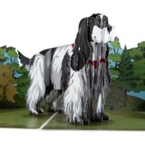 Cocker Spaniel Pop Up Card