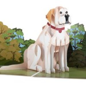 Labrador Pop Up Card