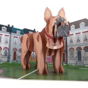 French Bulldog Pop Up Card