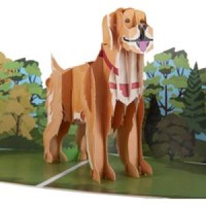 Golden Retriever Pop Up Card