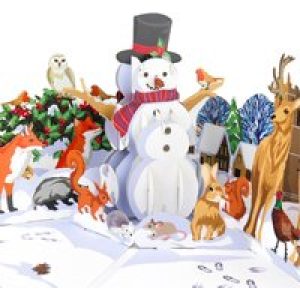 Winter Woodland Pop Up Card