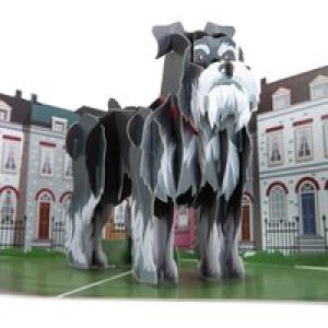 Miniature Schnauzer Pop Up Card