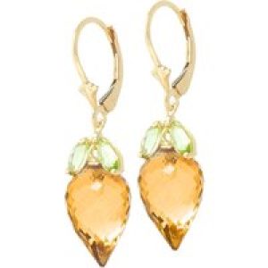 Citrine & Peridot Astrid Charm Drop Earrings in 9ct Gold