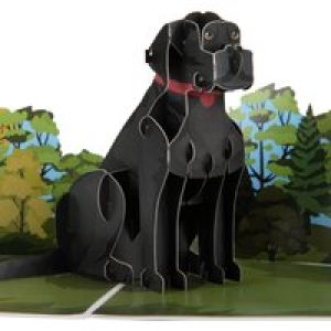 Black Labrador Pop Up Card