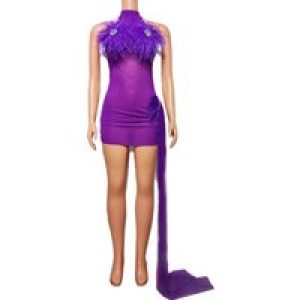 Sexy Perspective Mesh Costume For Girl Group, DJ Bar Party Dance Team DS Theme Show Women Vallentain Dress Luxury Evening Gowns