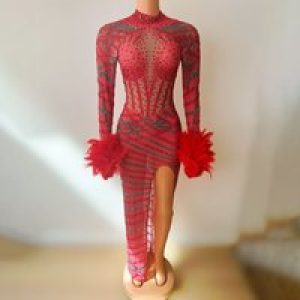Bar Singer Costume Red Feathers Sexy Temperament Evening Dress Nightclub Model Catwalk Dancing Banquet Dinner Robe Cocktail Luxe