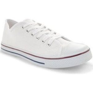 Shoes Mens Taylor Low Top Lace Up Canvas Trainers in White / UK 8 – Tokyo Laundry