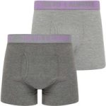 Mens Underwear Tonsley 2 (2 Pack) Boxer Shorts Set in Viola Lilac / Light Grey Marl / S – Tokyo Laundry