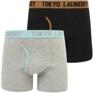 Mens Underwear Abbots 2 (2 Pack) Boxer Shorts Set in Thrush Brown / Forget Me Not Blue / L – Tokyo Laundry