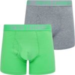 Mens Underwear Dans (2 Pack) Boxer Shorts Set in Light Grey Marl / Absinthe Green / M – Tokyo Laundry